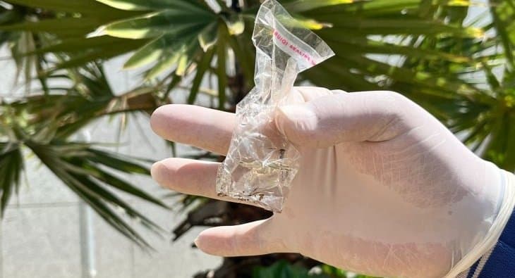 Boletim Epidemiológico: MS registra 6.845 casos confirmados de chikungunya