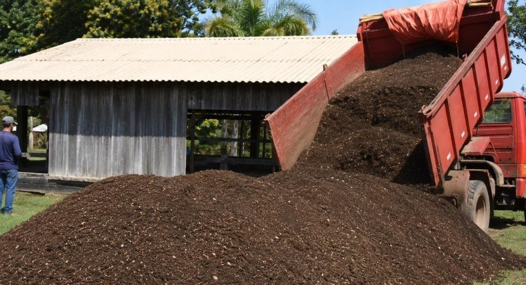Prefeitura de Batayporã terá dois novos programas para distribuir sementes e fertilizante