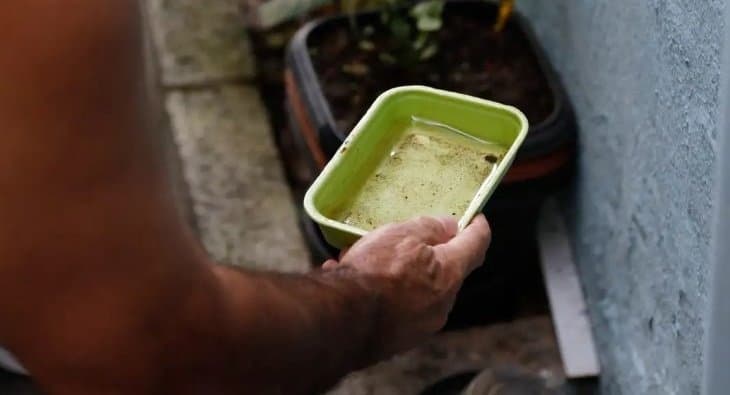 LIRAa de maio orienta ações de prevenção às arboviroses em Mato Grosso do Sul