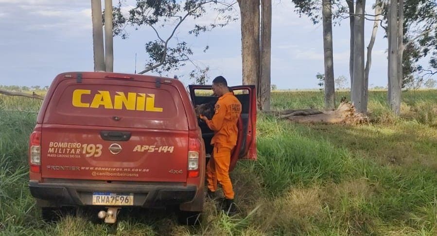 Sem pistas concretas, buscas por idoso desaparecido continuam nesta terça-feira (23) em Batayporã