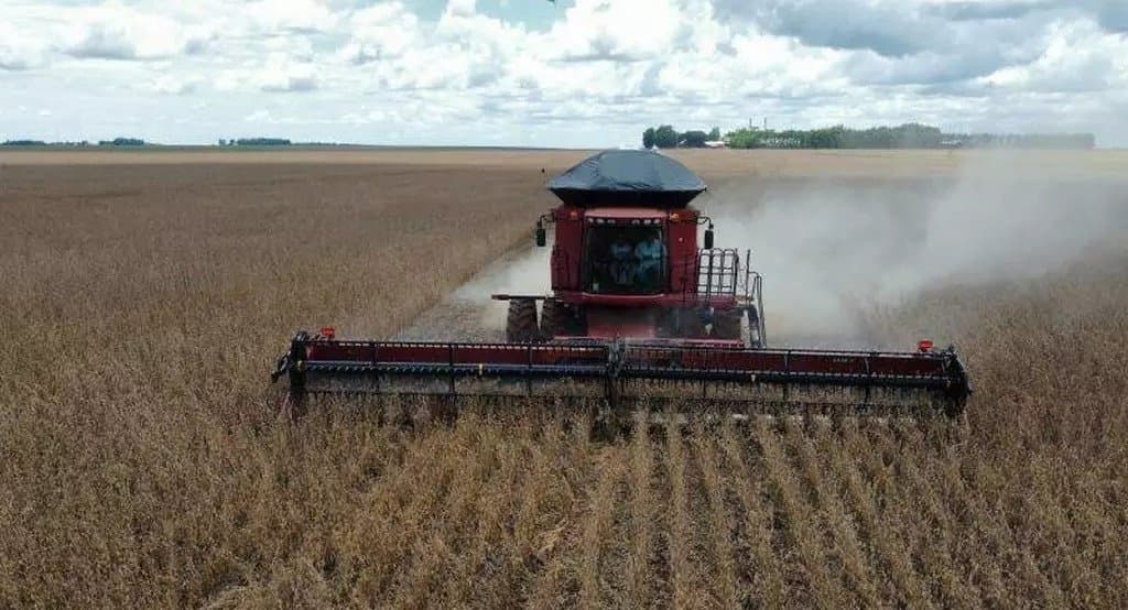 Crédito rural em MS fecha safra com queda de 21% e reforça cenário de restrição