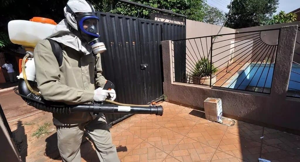 Mortes por chikungunya já superam soma de 11 anos em Mato Grosso do Sul