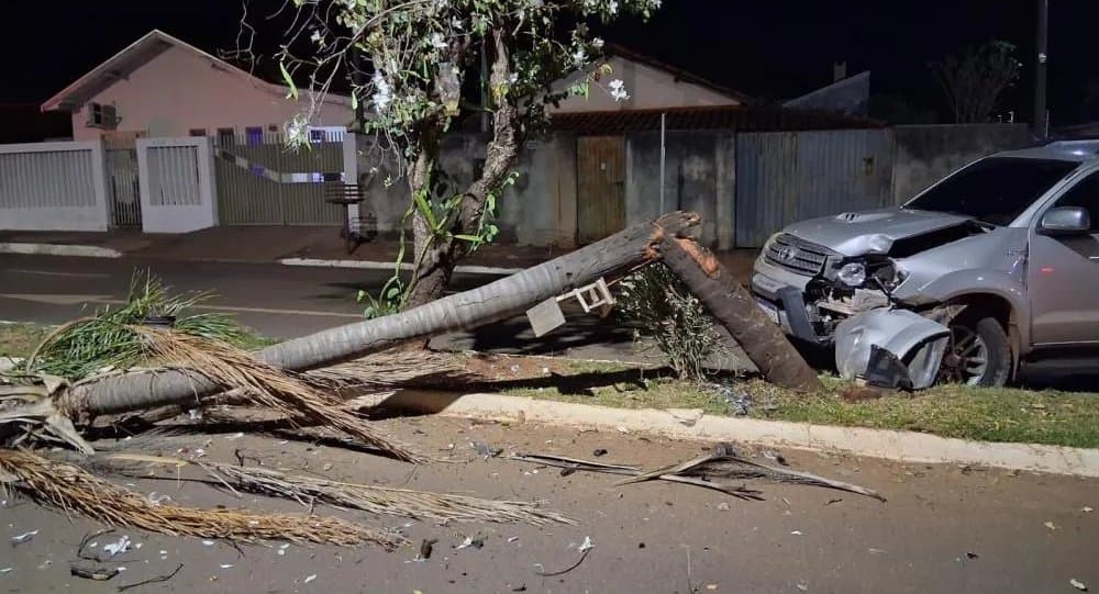 Bataguassu - celular faz condutor bater e derrubar árvore em canteiro de avenida