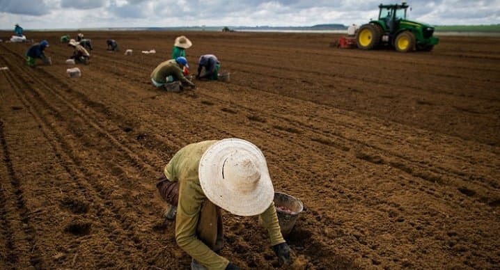 Governo atrasa pagamento de R$ 141 milhões de contratos do Seguro Rural