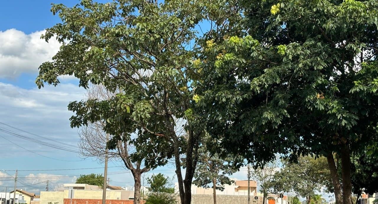 Confira a previsão do tempo para este domingo (09) em Nova Andradina