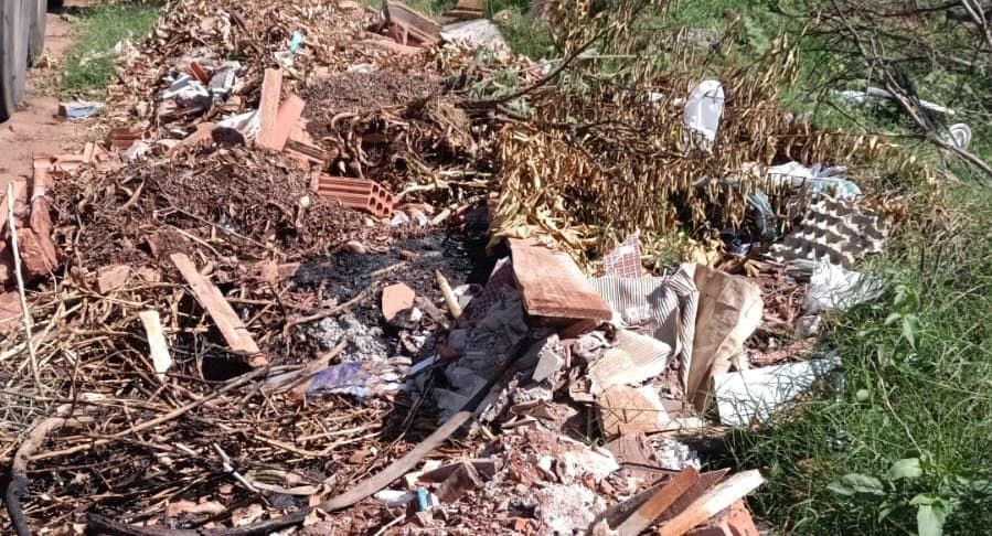 Mesmo após denúncia, descarte irregular de lixo e animais mortos continua em rua de Nova Andradina