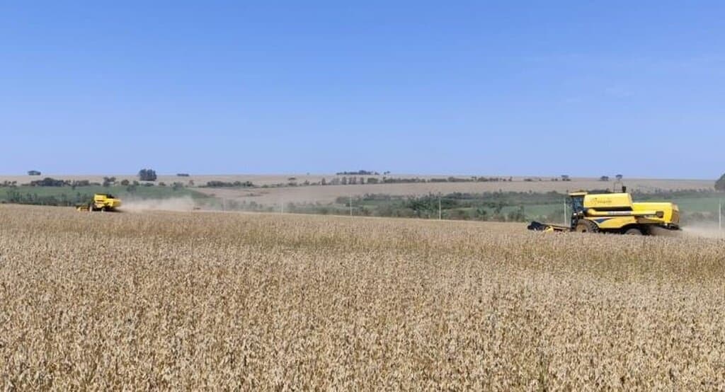 Recuperação judicial no agro cresce 22% e MS soma 38 pedidos