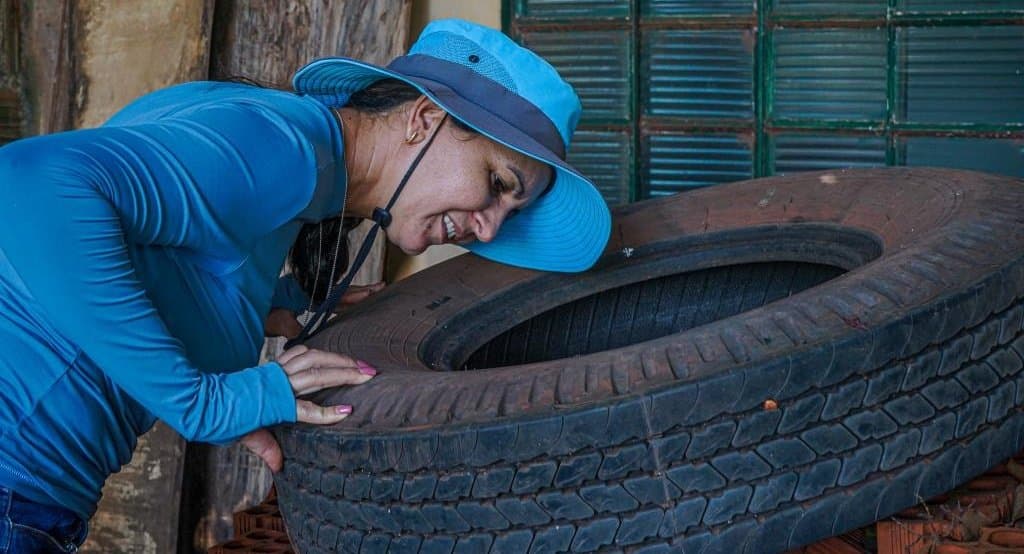 Lei de Combate às Arboviroses: donos de imóveis irregulares serão multados a partir do dia 28 em Batayporã