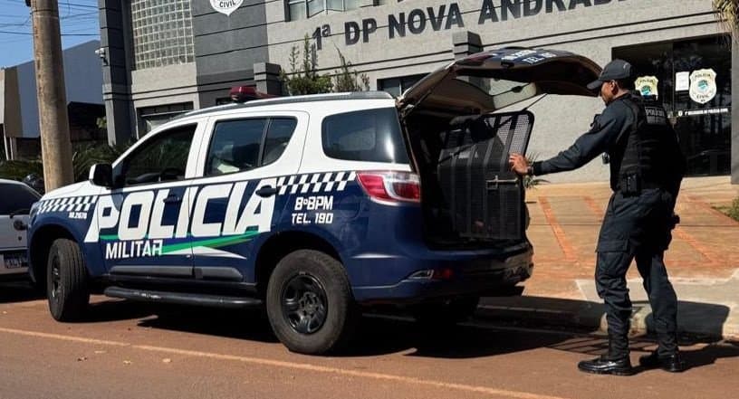 Jovem é detido após discutir com madrasta, ameaçar pai e danificar veículo em Nova Andradina